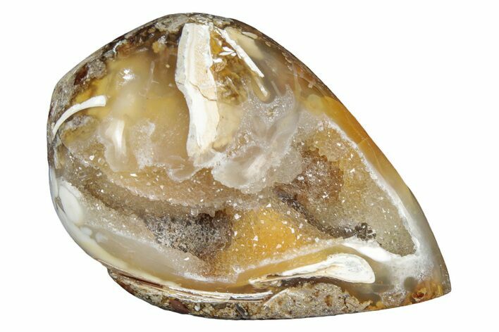 Chalcedony Replaced Gastropod With Sparkly Quartz - India #320814
